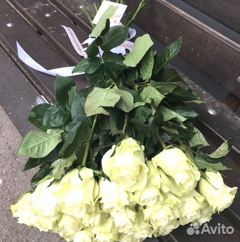 19 белых роз с доставкой за час + 2 подарка