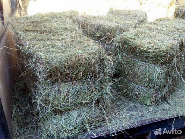 Купить Сено В Усмани Липецкой Области