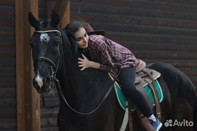 Лошади съёмочные купить на Зозу.ру - фотография № 3
