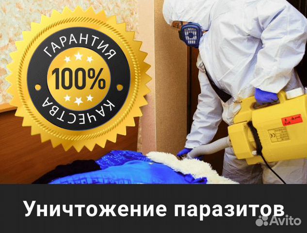 Уничтожение клопов, клещей, тараканов, ос, кротов Уничтожение клопов, клещей, тараканов, ос, кротов