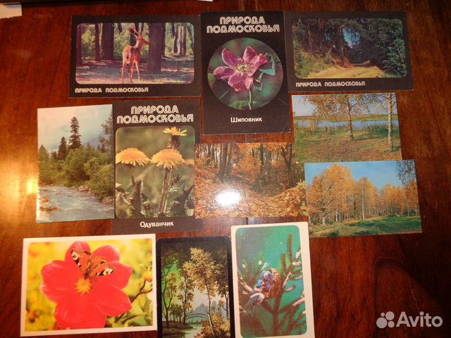 Календарики 