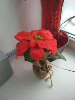 Сувенирный искусст.цветок пуасеттия