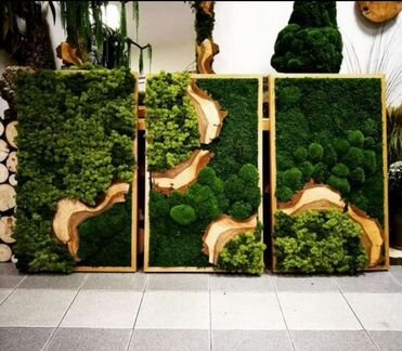 Фитокартина панно из мха