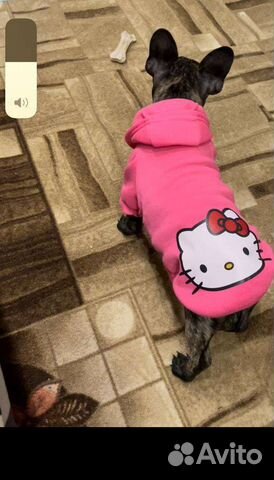 Кофта для собак