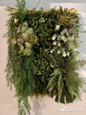 Панно из искусственной зелени, фитостена