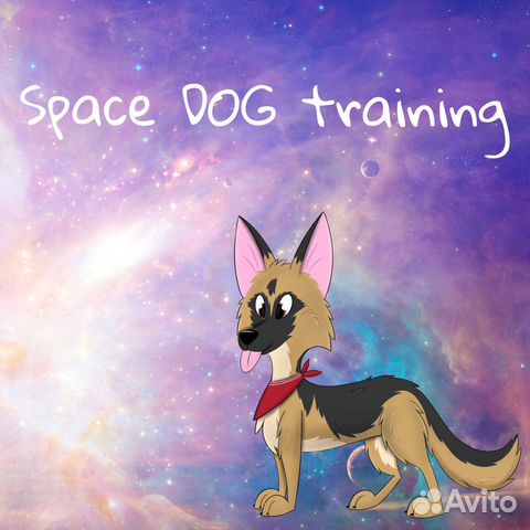 Дрессировка собак