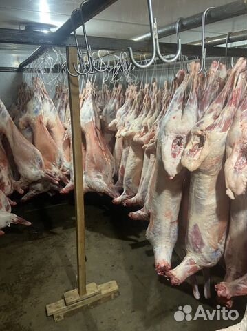 Мясо баранина халяль в оптом и розницу