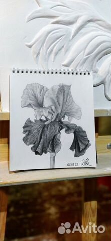 Художник - декоратор. Декоративное Оформление стен