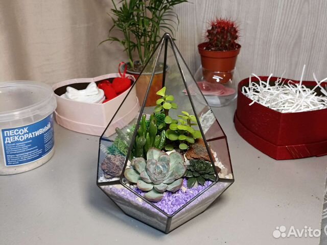 Флорариум Капля