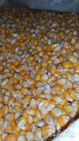 Комбикорм, Зерно, добавки, премиксы