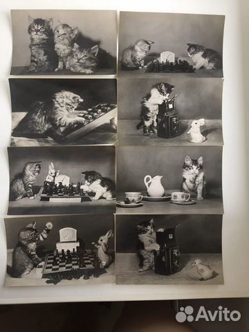 Набор фотокарточек СССР Изогиза Москва 1956