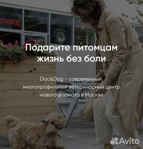 Ассистент ветеринарного врача