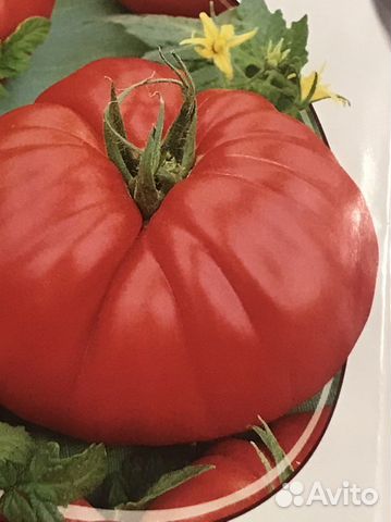 Семена овощей и зелени (на июль и не только)