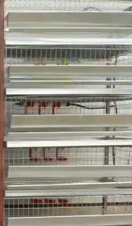 Клетки для перепелов, кур, перепела