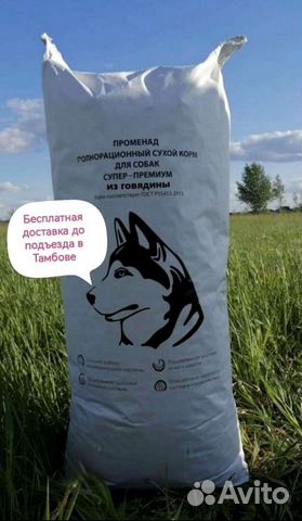 Сухой корм для собак из говядины