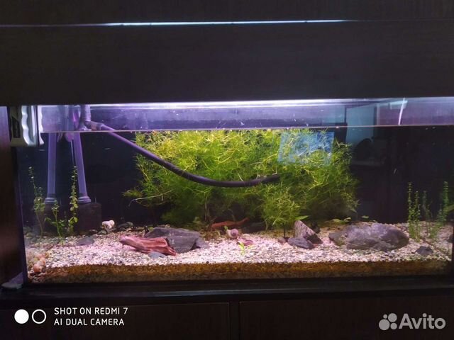 Аквариум / террариум на заказ