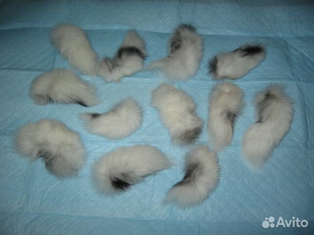 Символ 2023 года - Хвост зайца