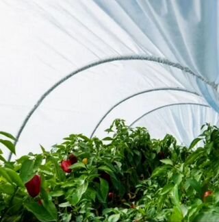 Парник в огород для овощей длинна 6м с доставкой