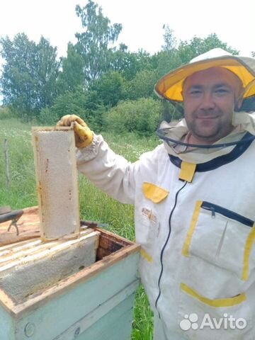 Мёд 2023,со своей пасеки