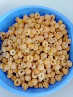 Саженцы жёлтой малины