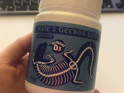 Kate’s Geckos Lab