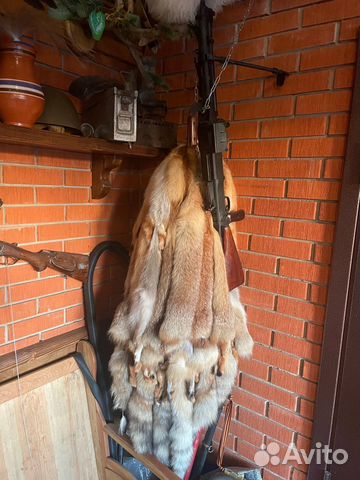 Лисья шкура