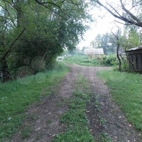 Село огни. Село огни Усть-Калманского района. Село огни Усть-Калманского района Алтайского края. Село огни Усть Калманка. Усть-Калманка, с. огни.