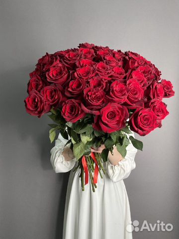 Роза эквадор оптом с Доставкой