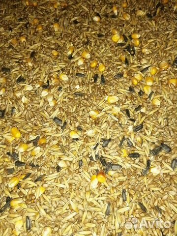 Зерносмесь