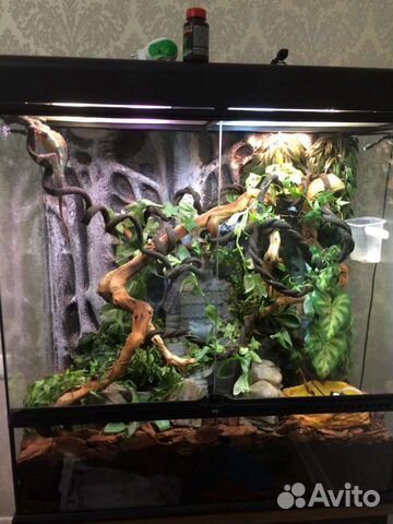 Обслуживание террариумов, аквариумов, клеток, воль