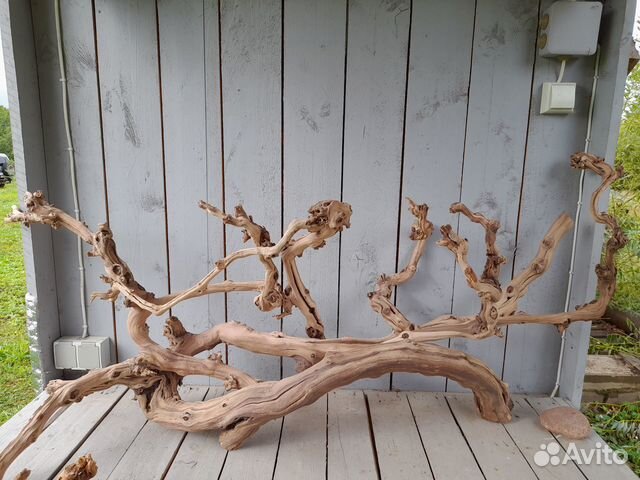 Коряги ветки лоза