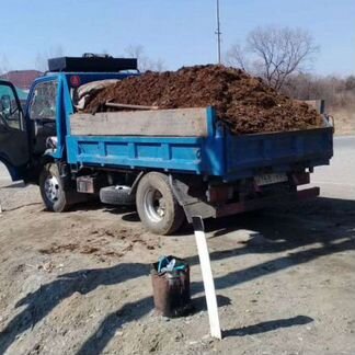 Навоз Крс Газелью