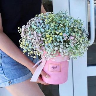 Букет из гипсофилы