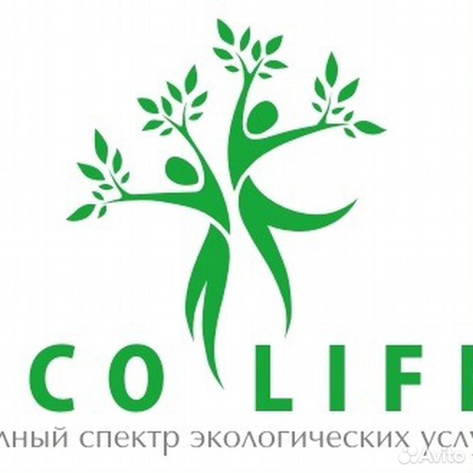 Eco life. Клика эко Ростове.