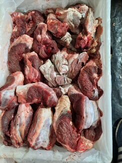 Мясо для собак