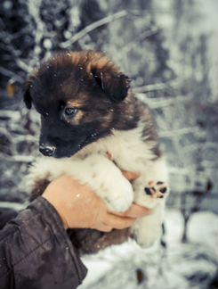 Супер красивый мальчик