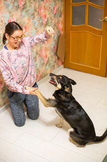 Щенок/ молодая собака бесплатно в дар в добрые рук