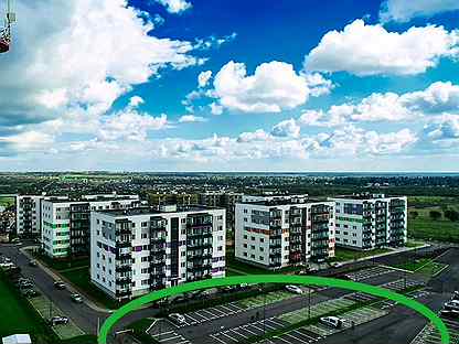 берёзовая роща в ростове на дону. березовая аллея дорога жизни. березовая роща всеволожск. роща 900 берез на дороге жизни. аллея дружбы всеволожск.