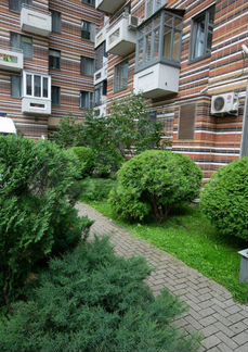 5-к квартира, 200 м², 22/22 эт.