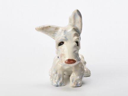 Скотч терьер Goldscheider