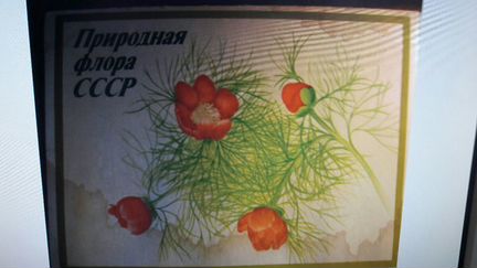 2 подарочных набора спичечных коробков