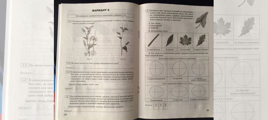 Решу гиа впр 5 класс биология 2024. ВПР 5 класс математика русский и биология. ВПР по биологии 5 класс 2023. Биология ВПР 5 класс учебник. ВПР 5 класс биология и математика.