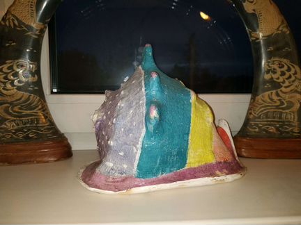 Морская раковина