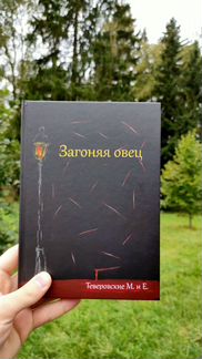 Предзаказ книги 