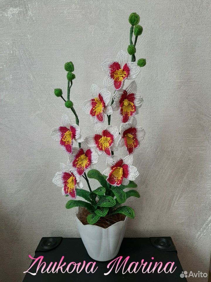 Орхидея 89021444597 купить 1