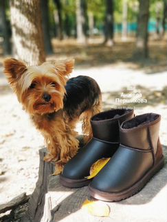 UGG Australia Угги