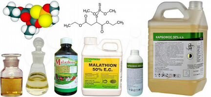 Карбофос концентрат от клопов