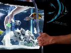 Профессиональная чистка аквариумов объявление продам