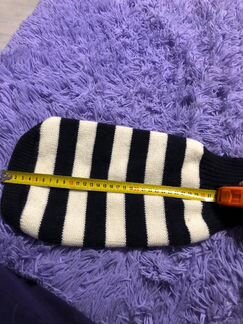 Одежда для собак