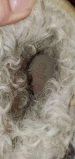 Ботинки brunello cucinelli. Новые